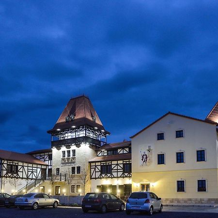 Hotel Castel Royal Mosnita Noua エクステリア 写真
