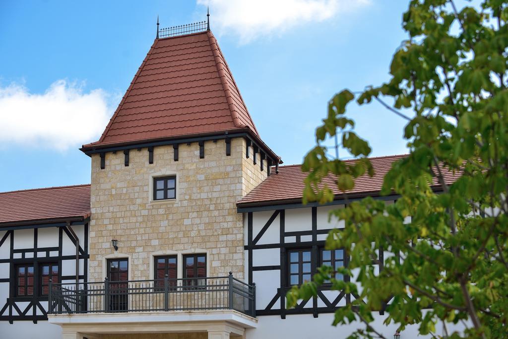 Hotel Castel Royal Mosnita Noua エクステリア 写真