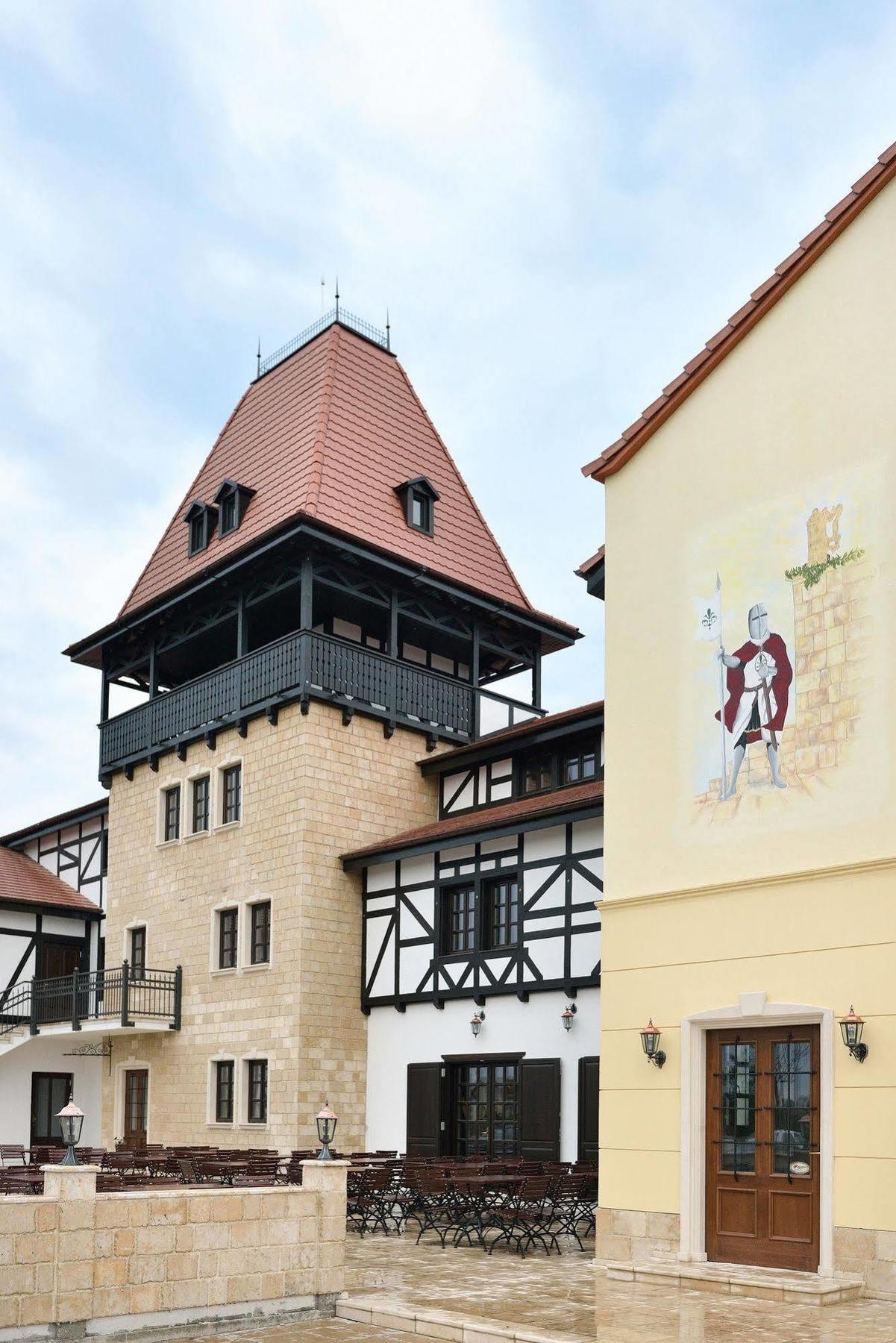 Hotel Castel Royal Mosnita Noua エクステリア 写真
